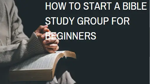 How to Start a Bible Study Group for Beginners